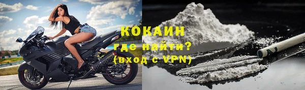 спайс Каменка