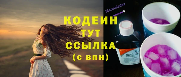 спайс Каменка