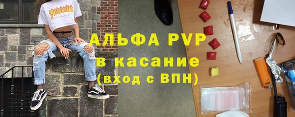 спайс Каменка