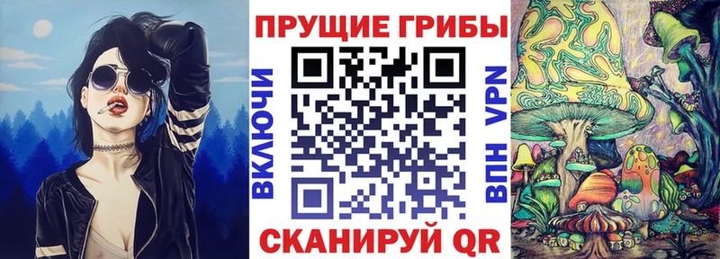 Купить  Полысаево  Псилоцибиновые грибы Magic Shrooms 